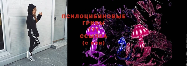 хмурый Алзамай