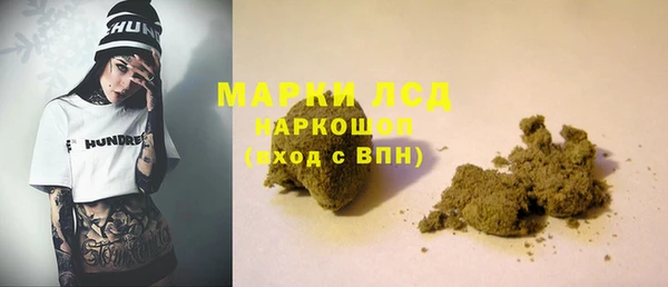 прущие грибы Осташков