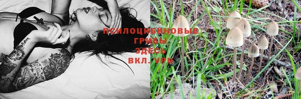 хмурый Алзамай