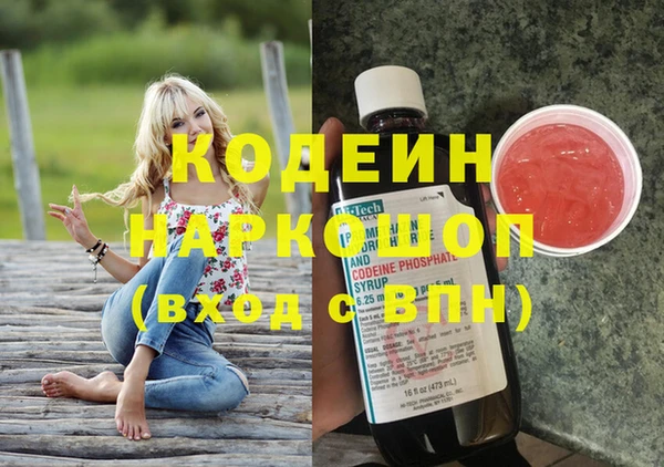 хмурый Алзамай