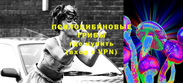 СК Алексин