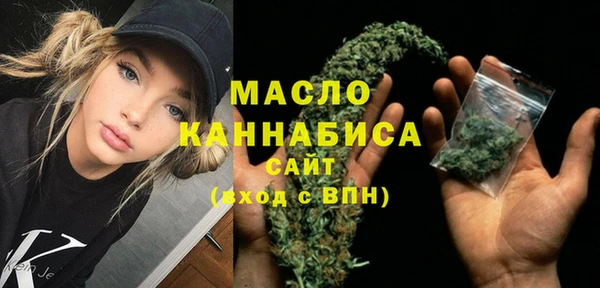 СК Алексин