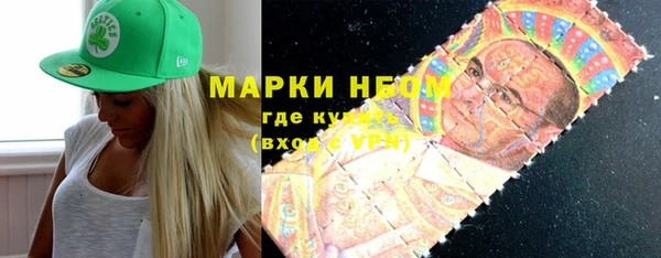 СК Алексин